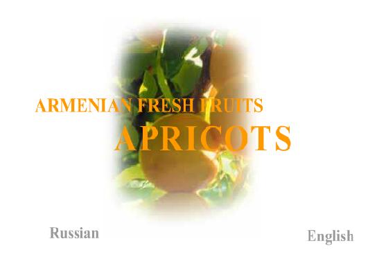 Armenian fresh fruits apricots