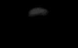 A_skull_anim-crunched (10869 bytes)