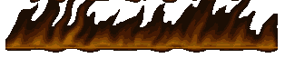 fire3.gif (7604 bytes)
