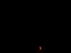 fire55.gif (58901 bytes)