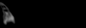 ghost35.gif (11762 bytes)
