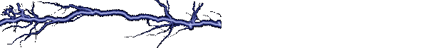 lighten22.gif (50769 bytes)
