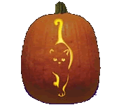 pumpcarv11.gif