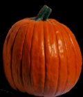 pumpkplain.jpg