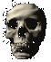 skull-water.gif (20747 bytes)