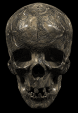 skull.talk.gif (33098 bytes)