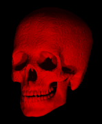 skulred.gif (37059 bytes)