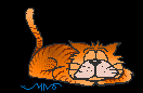 sleeping cat.gif (4224 bytes)