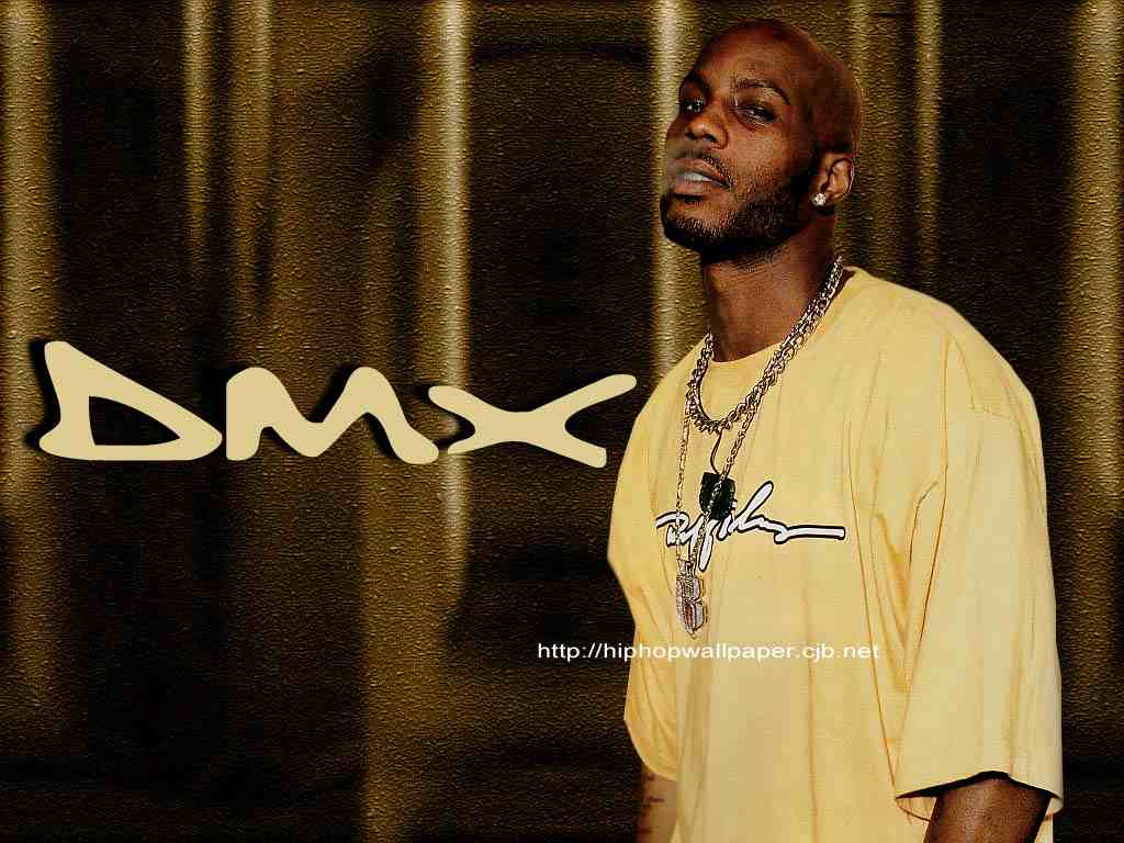 Image Result For Dmx Image Result For Dmx