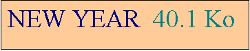 Zone de Texte: NEW YEAR  40.1 Ko